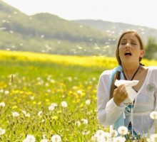 Alergija na polen majke dojilje