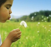 Djeci uskraćeno pravo na zdravu životnu sredinu