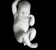 Broj novorođenih smanjen za petinu