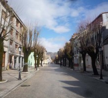 Policija tvrdi da Cetinjem ne kruži „bijeli kombi bez tablica koji krade djecu“