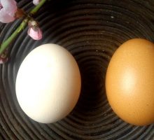 Izbijelite jaja prije farbanja ili ukrašavanja
