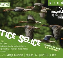U Razvojnom centru Nikšić nova radionica posvećena pticama selicama