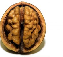 Kako izgleda mozak jedne mame