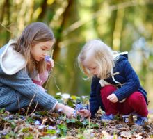 Igranje u zelenilu poboljšava imunitet djece