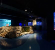 Akvarijum Boka opet otvoren za posjetioce