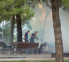 Krivična prijava protiv maloljetnika koji je  podmetnuo požar u parku