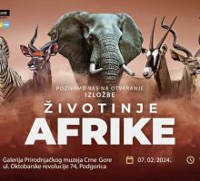 Izložba “Životinje Afrike” u Prirodnjačkom muzeju